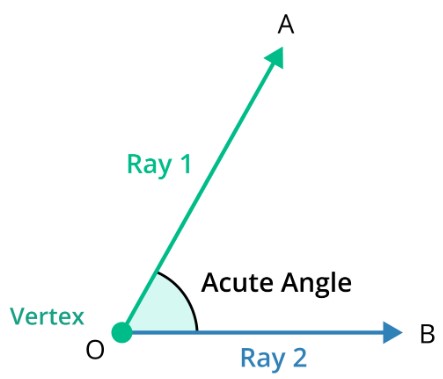 Draw an acute angle. Label the vertex point 'g' and label the sides 'gh'  and 'gk'.